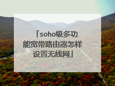 soho级多功能宽带路由器怎样设置无线网