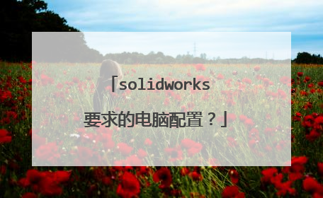 solidworks 要求的电脑配置?