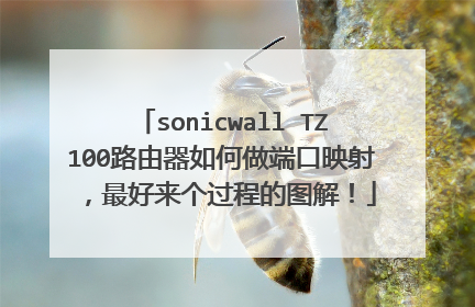 sonicwall TZ100路由器如何做端口映射，最好来个过程的图解！