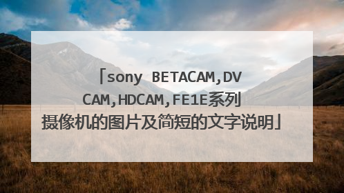sony BETACAM,DVCAM,HDCAM,FE1E系列摄像机的图片及简短的文字说明