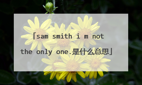 sam smith i m not the only one.是什么意思