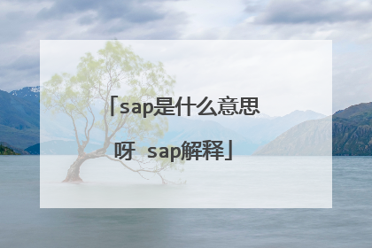 sap是什么意思呀 sap解释