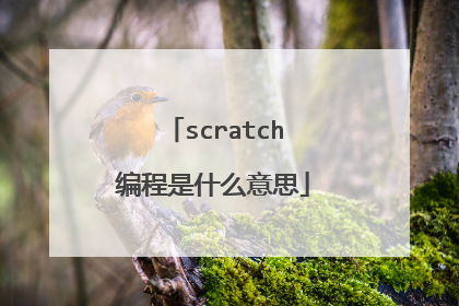 scratch编程是什么意思