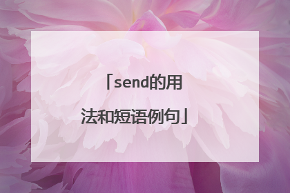 send的用法和短语例句