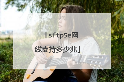 sftp5e网线支持多少兆