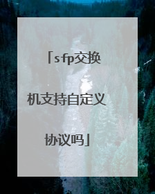 sfp交换机支持自定义协议吗