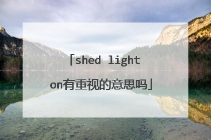 shed light on有重视的意思吗