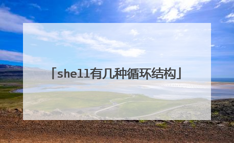 shell有几种循环结构