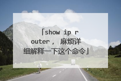 show ip router， 麻烦详细解释一下这个命令