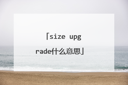 size upgrade什么意思