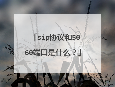 sip协议和5060端口是什么?