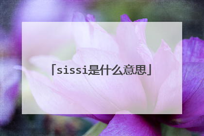 sissi是什么意思