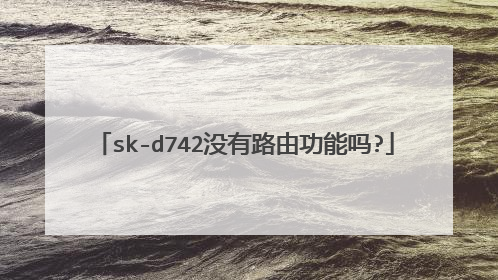 sk-d742没有路由功能吗?