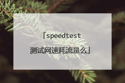 speedtest 测试网速耗流量么