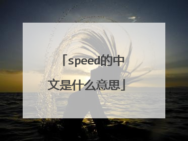 speed的中文是什么意思
