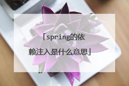 spring的依赖注入是什么意思