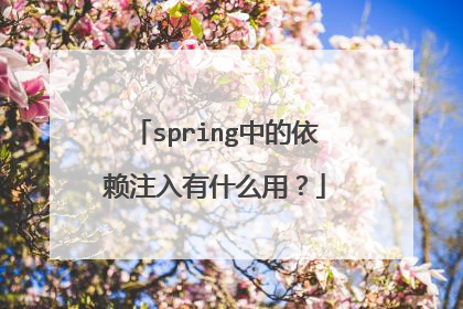 spring中的依赖注入有什么用？