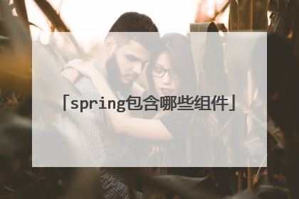 spring包含哪些组件
