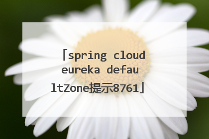 spring cloud eureka defaultZone提示8761