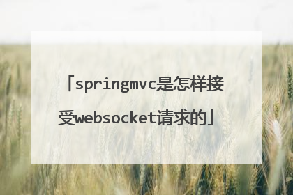 springmvc是怎样接受websocket请求的