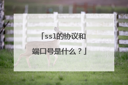 ssl的协议和端口号是什么？