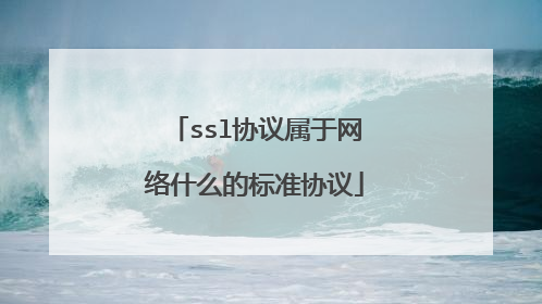 ssl协议属于网络什么的标准协议