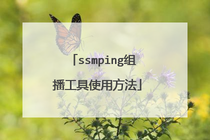 ssmping组播工具使用方法
