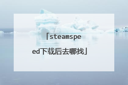 steamspeed下载后去哪找