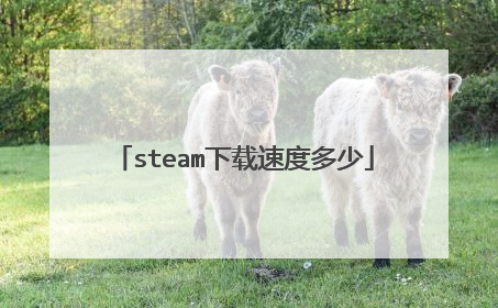 steam下载速度多少