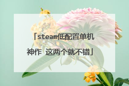steam低配置单机神作 这两个就不错