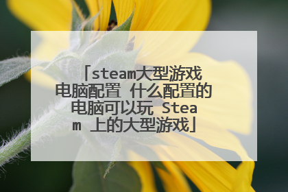steam大型游戏电脑配置 什么配置的电脑可以玩 Steam 上的大型游戏