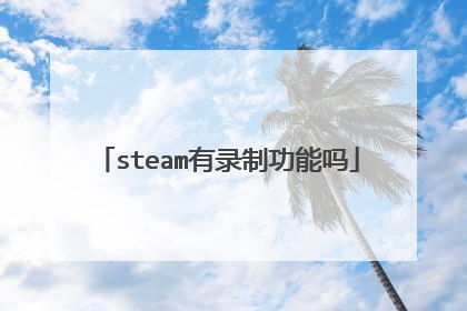steam有录制功能吗