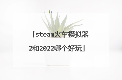 steam火车模拟器2和2022哪个好玩