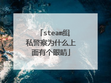 steam缉私警察为什么上面有个眼睛