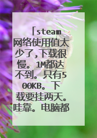 steam网络使用值太少了,下载很慢。1M都达不到。只有500KB。下载要挂两天。哇靠。电脑都块死了。