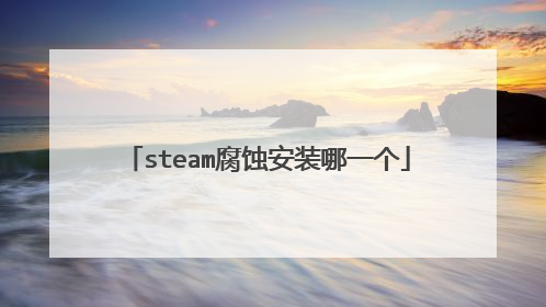 steam腐蚀安装哪一个