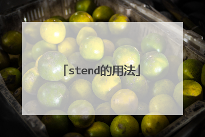 stend的用法