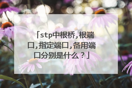 stp中根桥,根端口,指定端口,备用端口分别是什么?