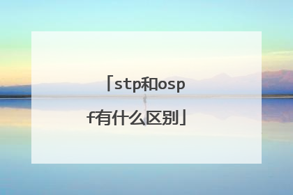 stp和ospf有什么区别