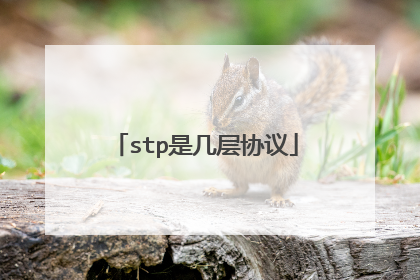 stp是几层协议