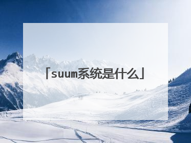 suum系统是什么