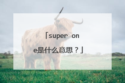 super one是什么意思?