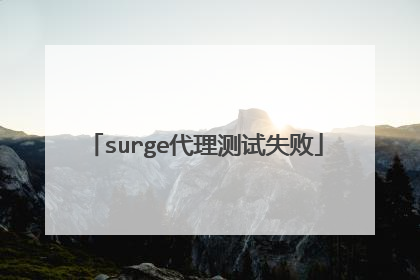 surge代理测试失败