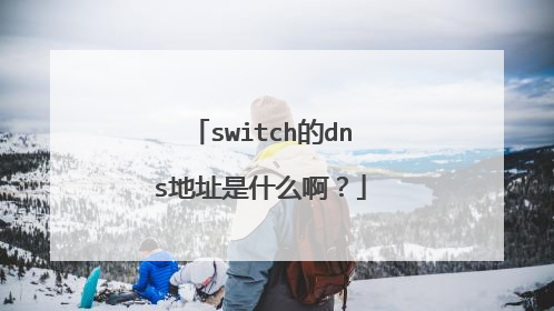 switch的dns地址是什么啊?