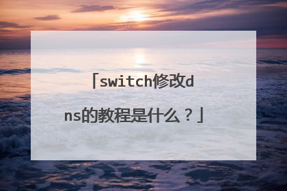switch修改dns的教程是什么?