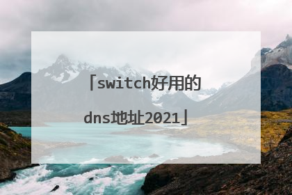 switch好用的dns地址2021