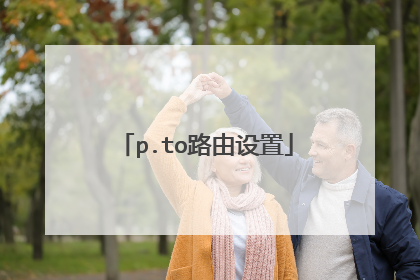 p.to路由设置
