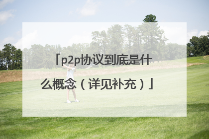 p2p协议到底是什么概念(详见补充)