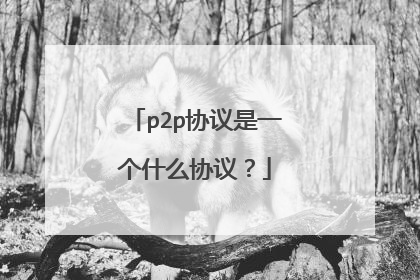 p2p协议是一个什么协议?
