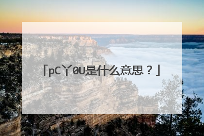 pC丫0U是什么意思?